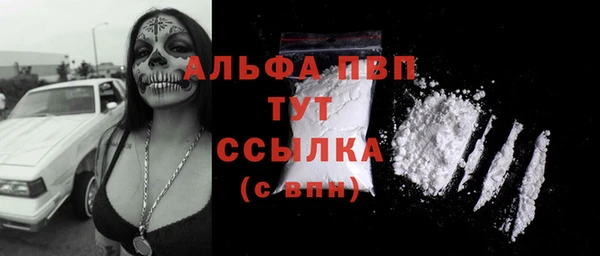 spice Арсеньев