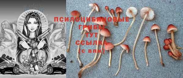 герыч Армянск